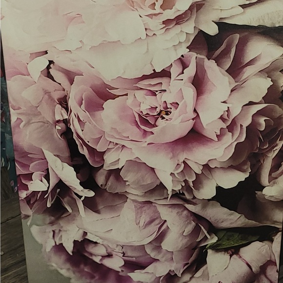 Pink Peonies - Picture 1 of 1